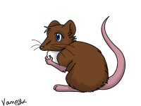 Mouse-Rat :3