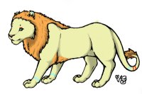 The lion cub grown up