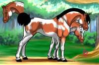 Fail's Stables Horse Adopt {Adopted}