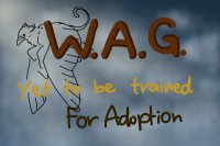 Yet to be trained W.A.G. - For Adoption