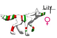 Lily,The Italian Wolf.