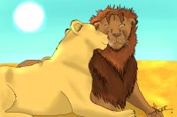 Lion love <3