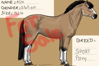 Buckskin sport pony