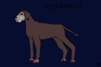 HELP ME MAKE A GREAT DANE CHARRIE BY BLACKHOESES