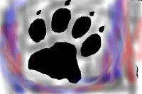 Wolf paw print