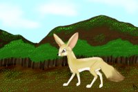 Fennec Fox on the Forest