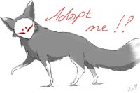 Adopt a masked fox !