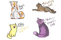 More Cats!