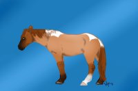 Harkness- red dun roan tobiano  V.2