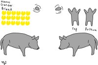 Pig Reference Sheet