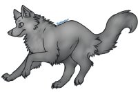 Wolf/Dog Editable