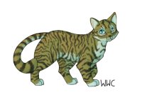 WWC: Tiger housecat
