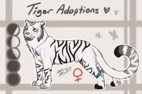 Tiger Adopt #12 !WINNER ANNOUNCED!
