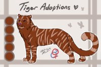 Tiger Adopt #13 Winner Announced!