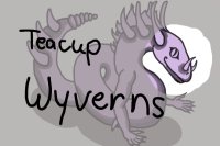 Teacup Wyverns -- Coming soon! Please No Posting!