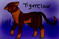 tigerclaw