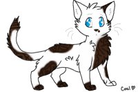 Tidalkit - My ShadowClan cat. :3