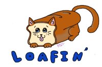 Loaf Cat!!!