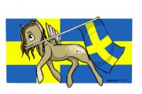sweden pony