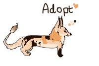 Fox trot adopts