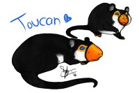 toucan ratty <3