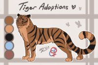 Tiger Adoptable #18