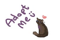 adopt me? - [free kitty kat adopt]