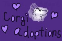 Corgi Ranch Adoptions -- OPEN