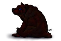 Random Bear
