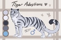Tiger Adoptable #20