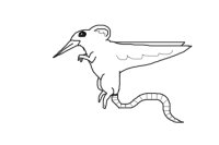 Hummingbird-Mouse