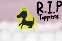 R.I.P Tappens