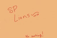 SP Lions Lineart Development