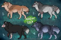 4 little adopts