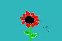 Vetrons Day Poppy