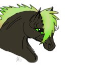 Colored in Horse