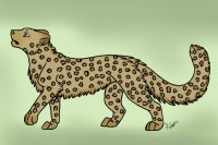 Re-colored leopard