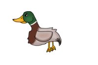 Recolored duck :3