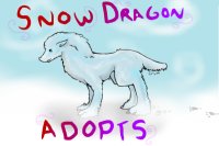Snow Dragon Adopts