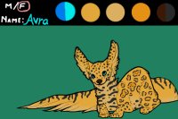 Avra - My First Wolvle