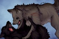 Werewolf Fight