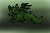 Dragon dog :3