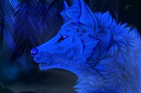 the blue wolf