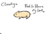 Rest In Peace Cloudy <3