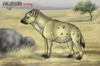 hyena competition » entry one