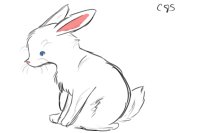 Little White bunny
