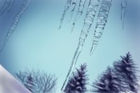 With Winter comes Icicles