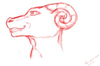 Sketchy Dragon Bust