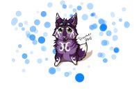 Purple Air Fox