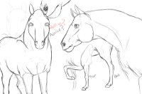 Study: Horse Things